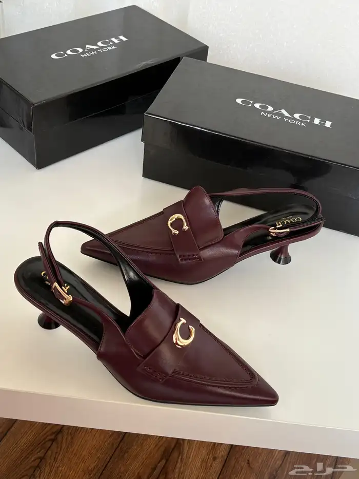 هيلزات توري بورش وقوتشي 17