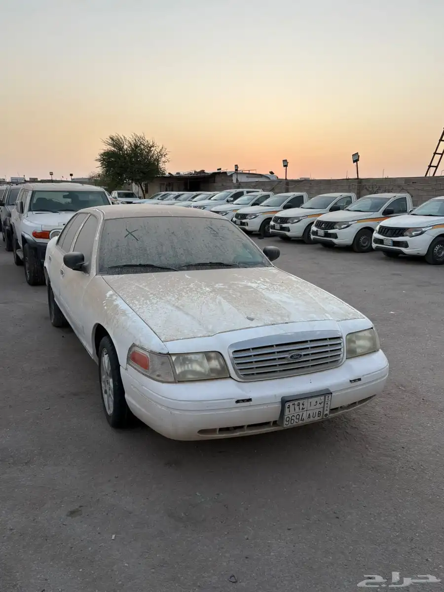 ربع عدد كبير من جيب الربع مبيعات حكوميه 12