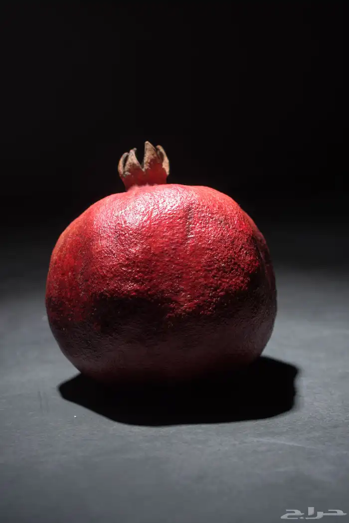 مصور فوتوغرافي محترف 33