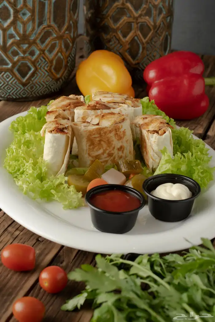 مصور فوتوغرافي محترف 26