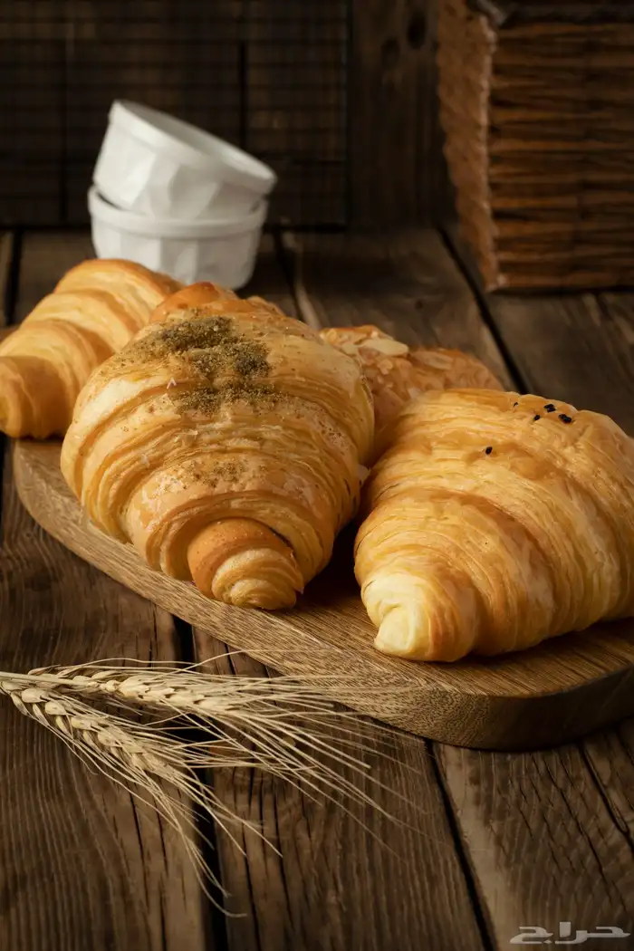 مصور فوتوغرافي محترف 25