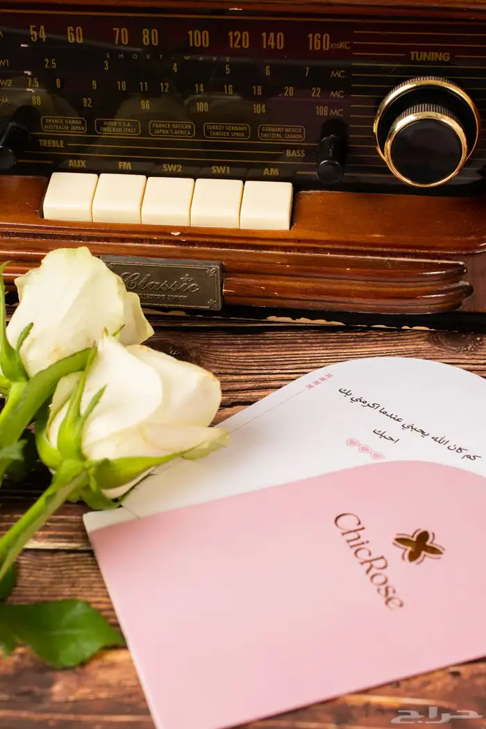 مصور فوتوغرافي محترف 9