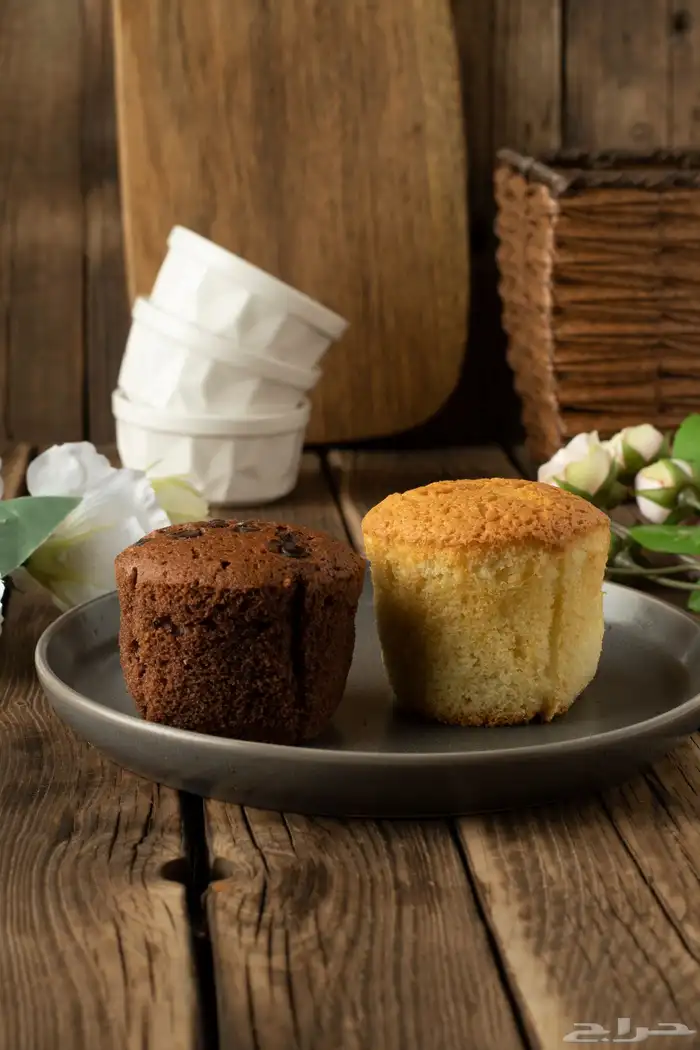 مصور فوتوغرافي محترف 28