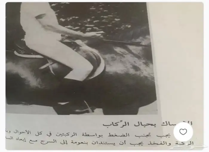 كتب عن الخيل والفروسية وبيطرة الخيول 2