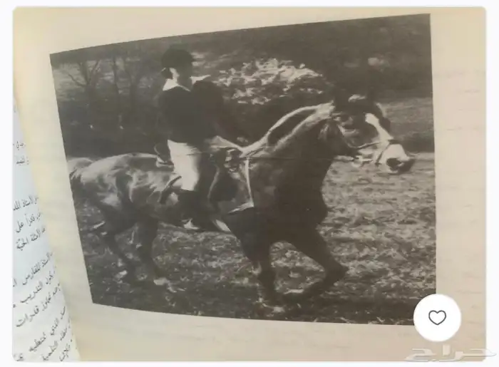 كتب عن الخيل والفروسية وبيطرة الخيول 10