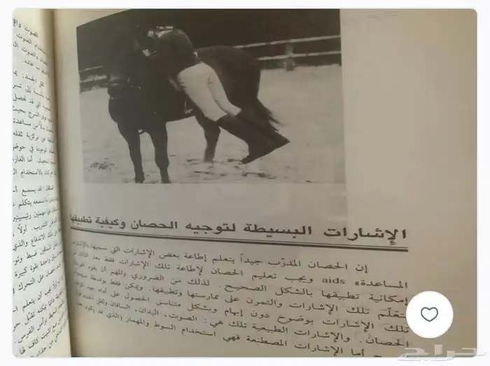 كتب عن الخيل والفروسية وبيطرة الخيول 3
