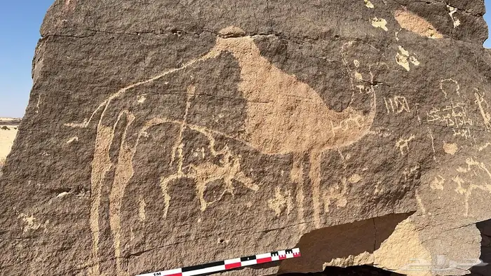 مرشد سياحي الربع الخالي نجران 23