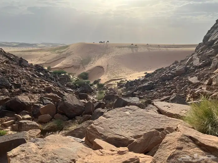 مرشد سياحي الربع الخالي نجران 30