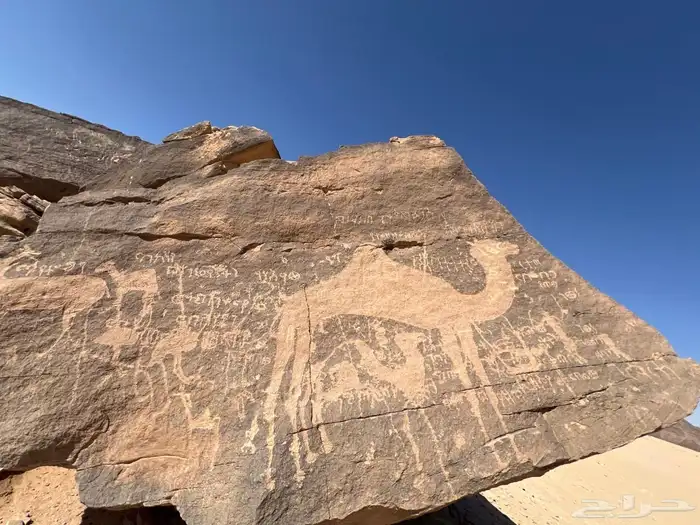 مرشد سياحي الربع الخالي نجران 22