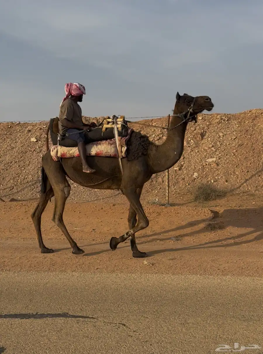 رحول 0