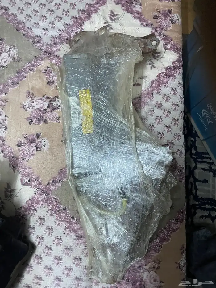 القحمه 31