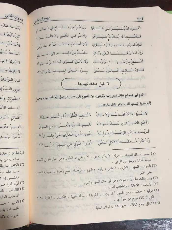 ديوان المتنبي   نص- تحقيق- دراسة 1