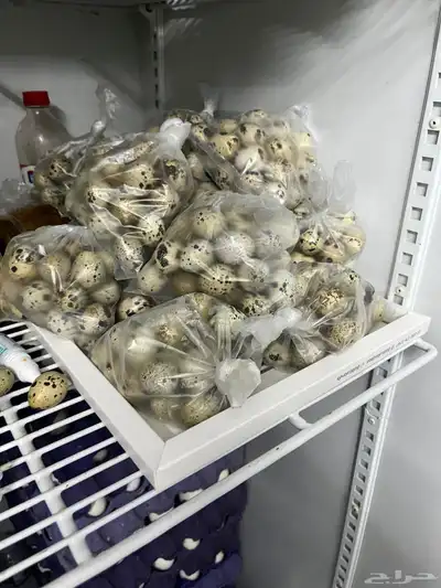 بيض سمان 0