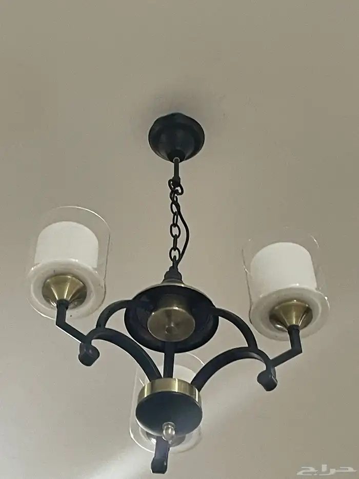 نجفه 1