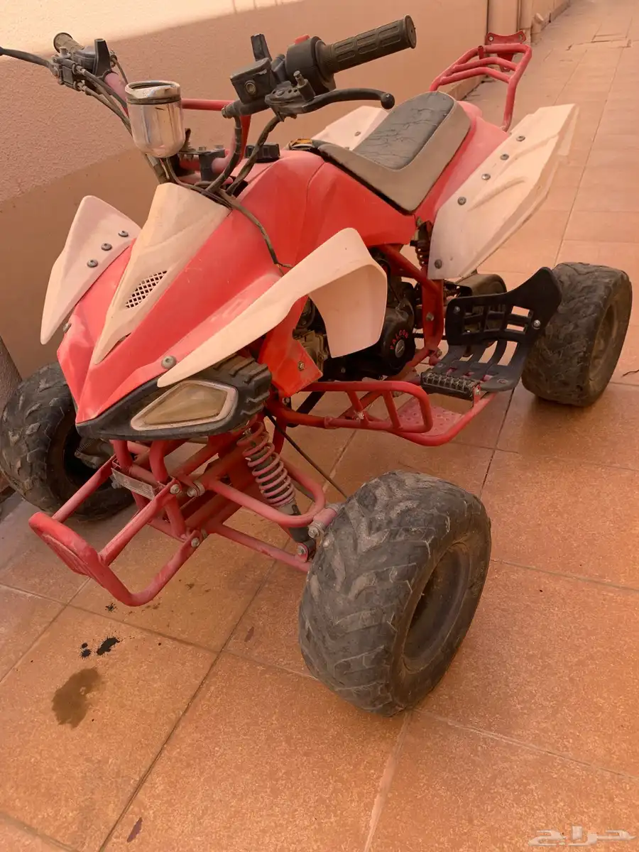 دباب 4
