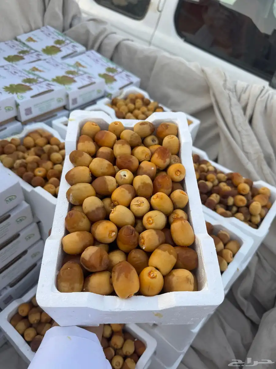 روثان للبيع 1