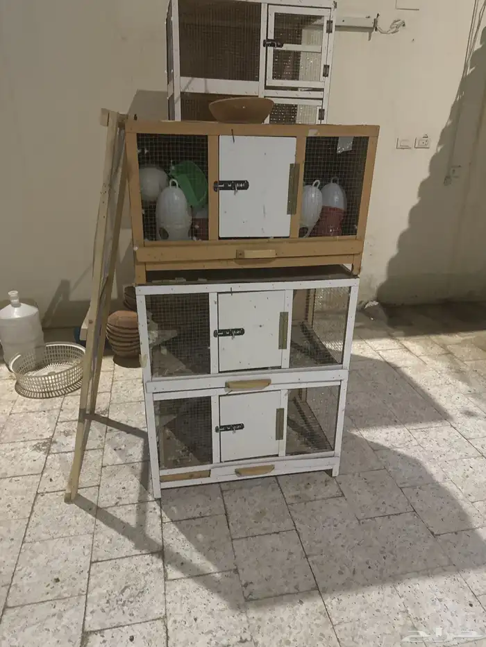 حي جبرة 0