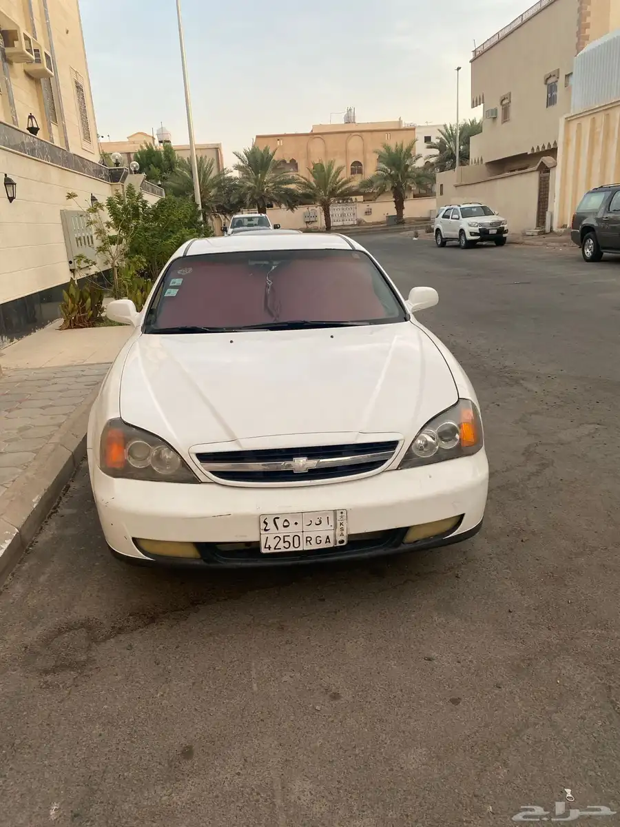 ابيكا 2006 index