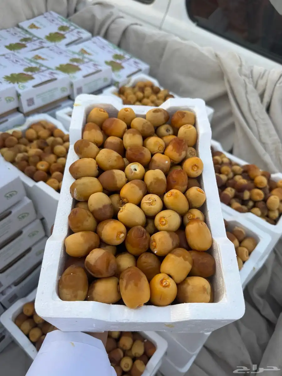 روثان للبيع 0