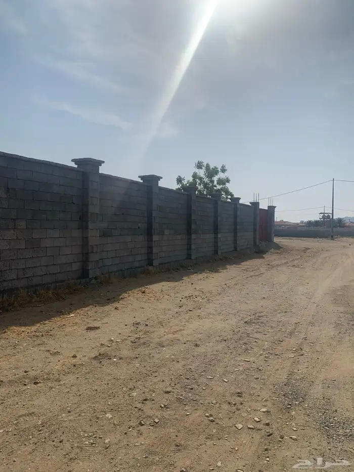 حوش للايجار اللحيانيه 2