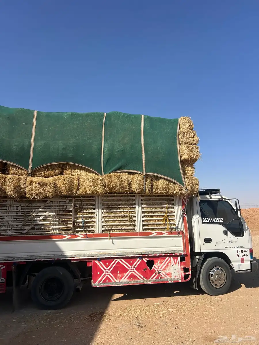 تبن بر حولي 2