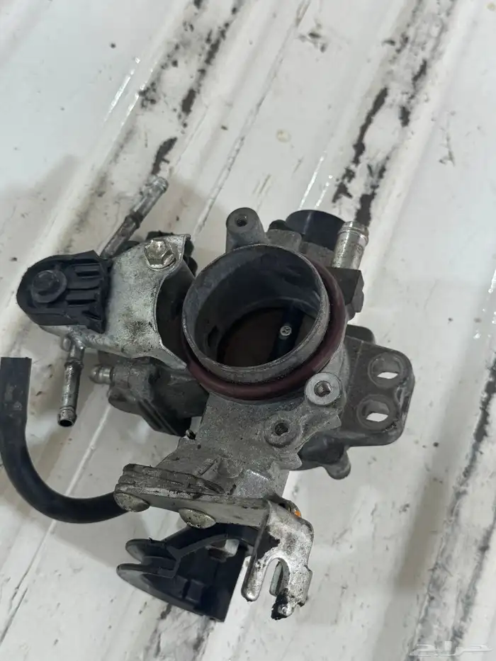 بوابة ديهاتسو تيريوس 0
