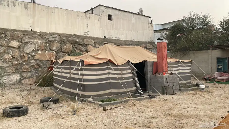 بيت شعر وشبوك 0