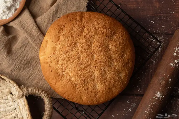 مصور فوتوغرافي محترف 15