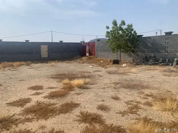 حوش للايجار اللحيانيه 0