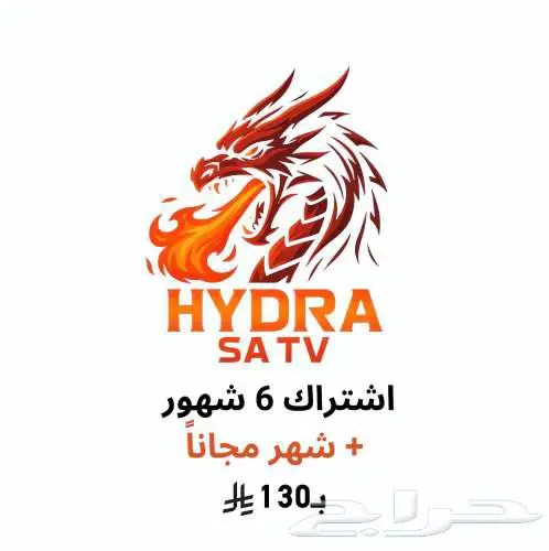 اشتراك قنوات 6