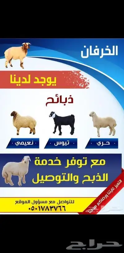 ذبايح للبيع 0