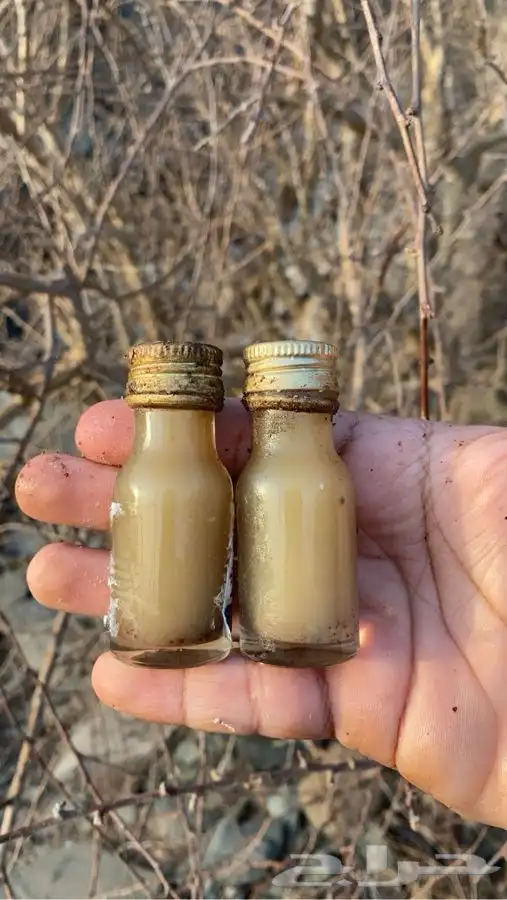 بلسان اصلي 0