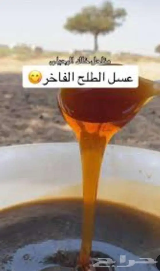 عسل طلح جمله 0