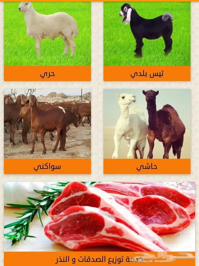 ذبايح الرياض مع خدمة الذبح والتوصيل 0
