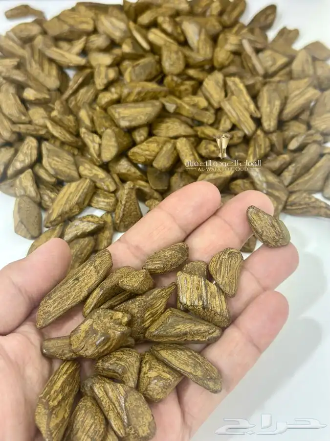 دقة عود مروكي فاخر بسعر اقتصادي 1