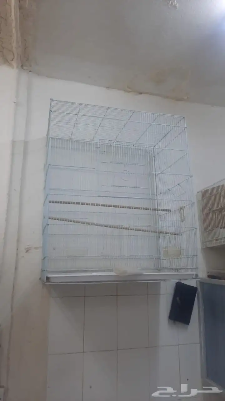 شبك ببغاء مستعمل نضيف 0