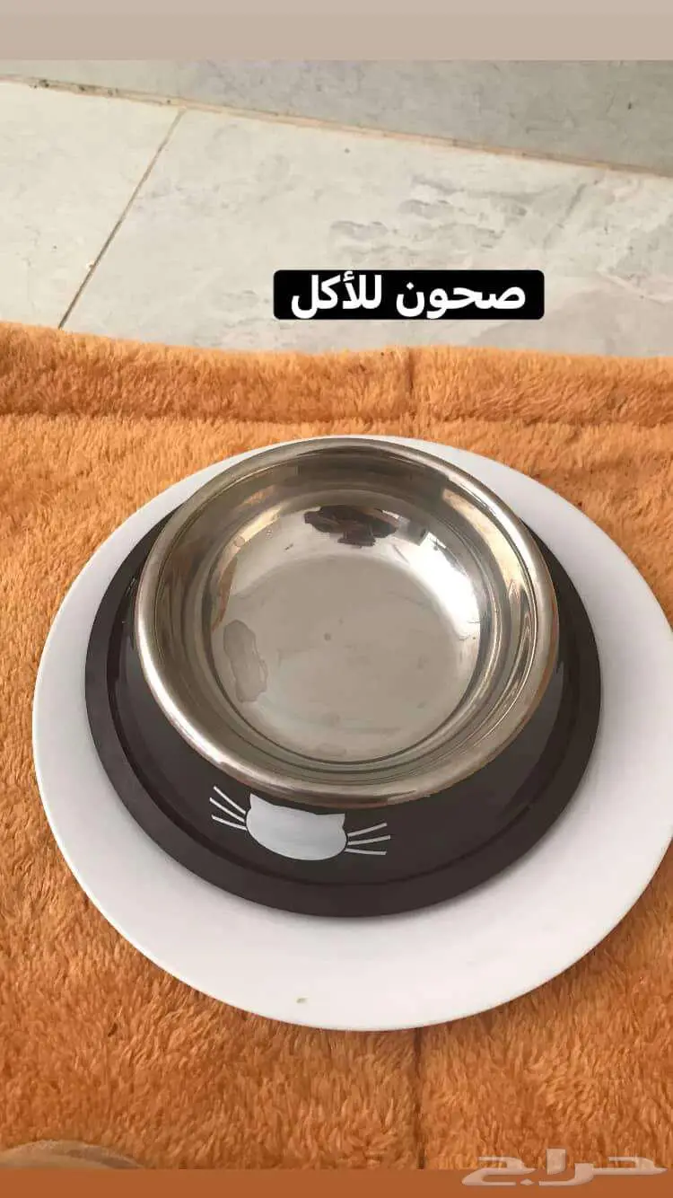 مستلزمات قطط كاملة بسعر رمزي 0