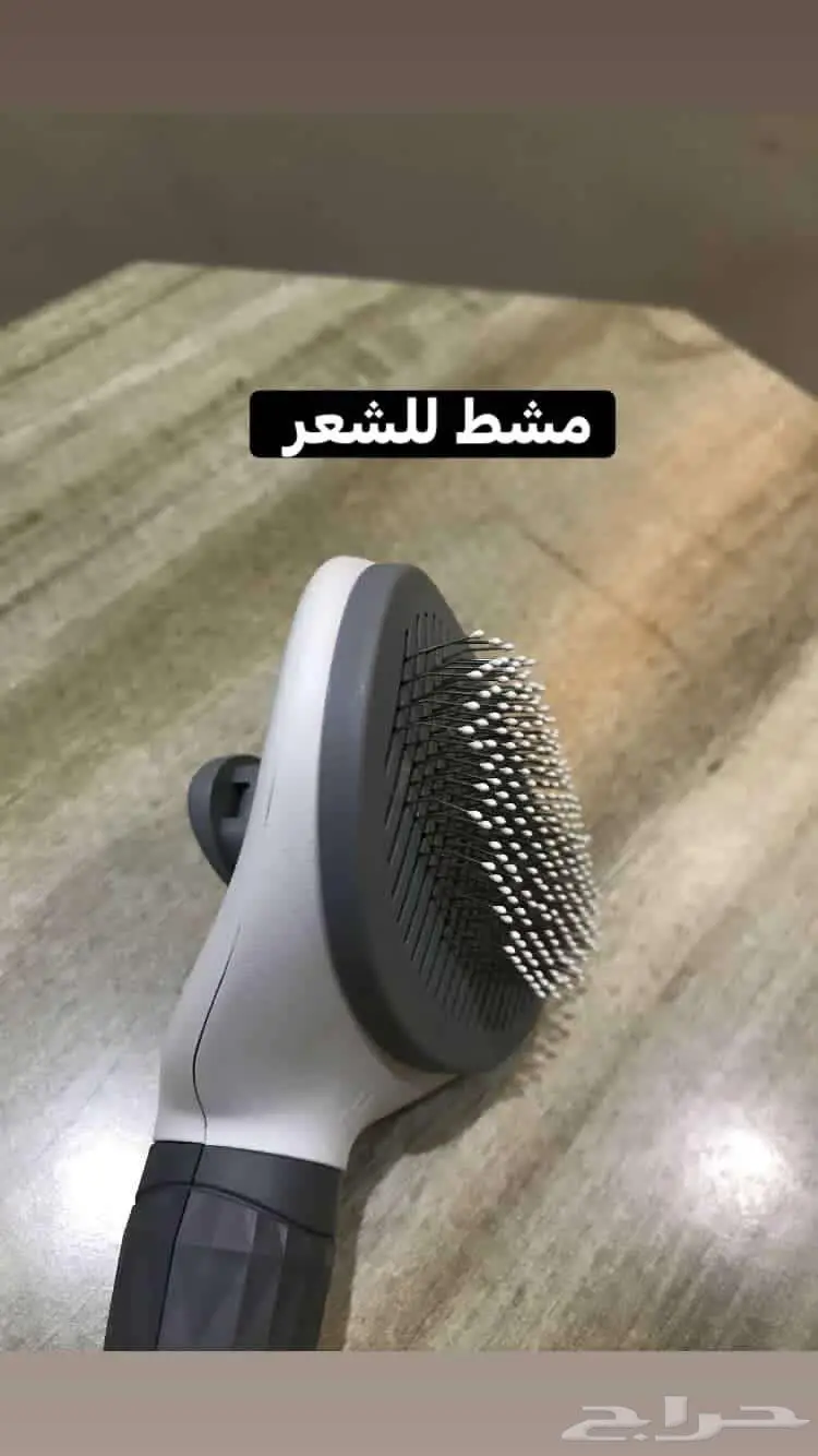 مستلزمات قطط كاملة بسعر رمزي 4