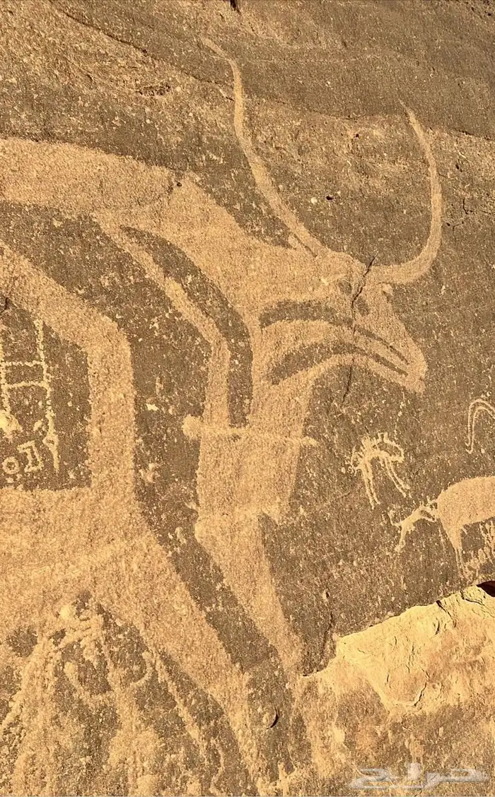 مرشد سياحي الربع الخالي نجران 19