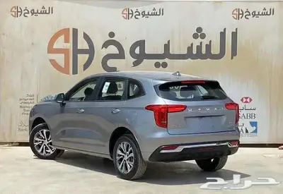 هافال جوليان بيسك موديل 2024 5