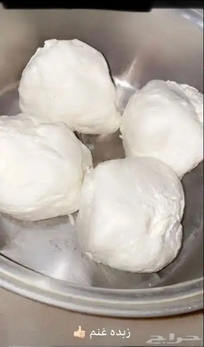 زبده ضان و ماعز و بقر جمله الجمله ع الشرط 0