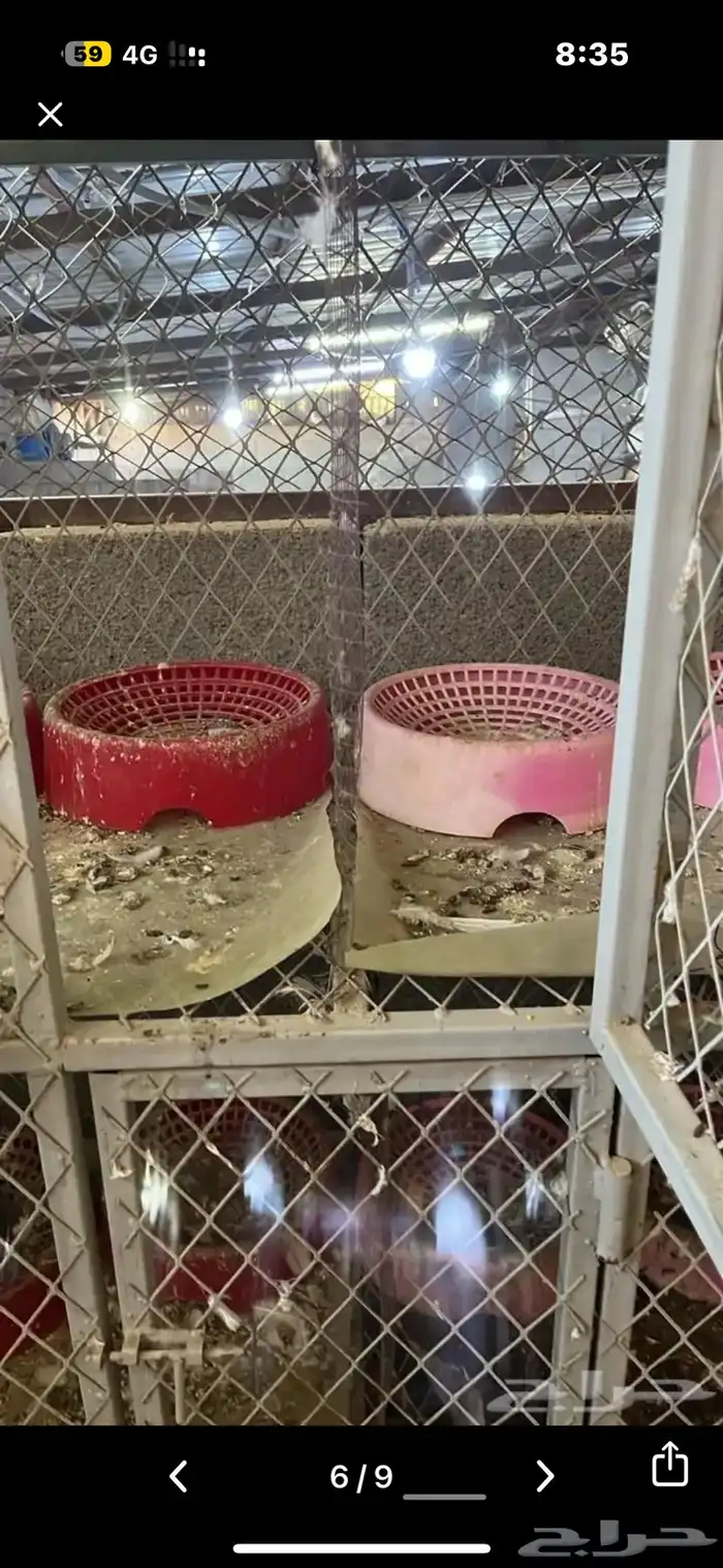 محكر حديد مجهز بالكامل 5
