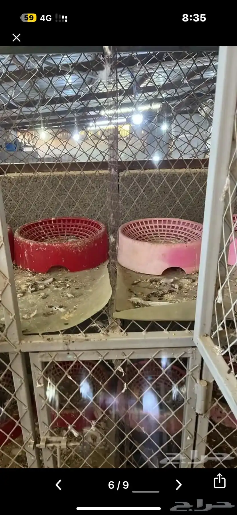 محكر حديد مجهز بالكامل 5