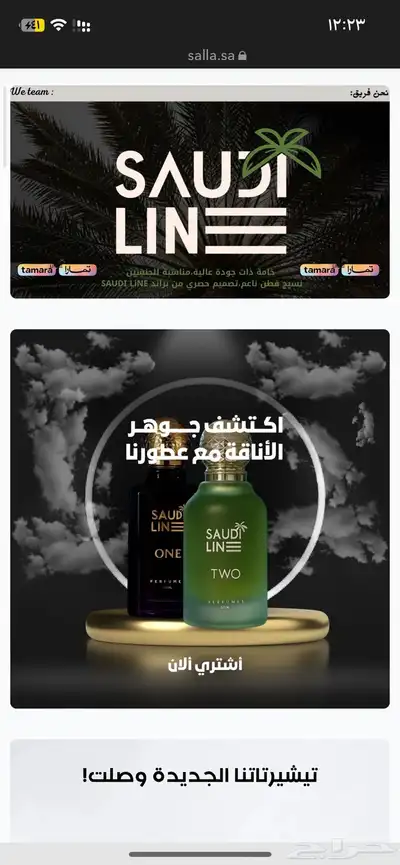 موقع الكتروني شعارات تصميم 3