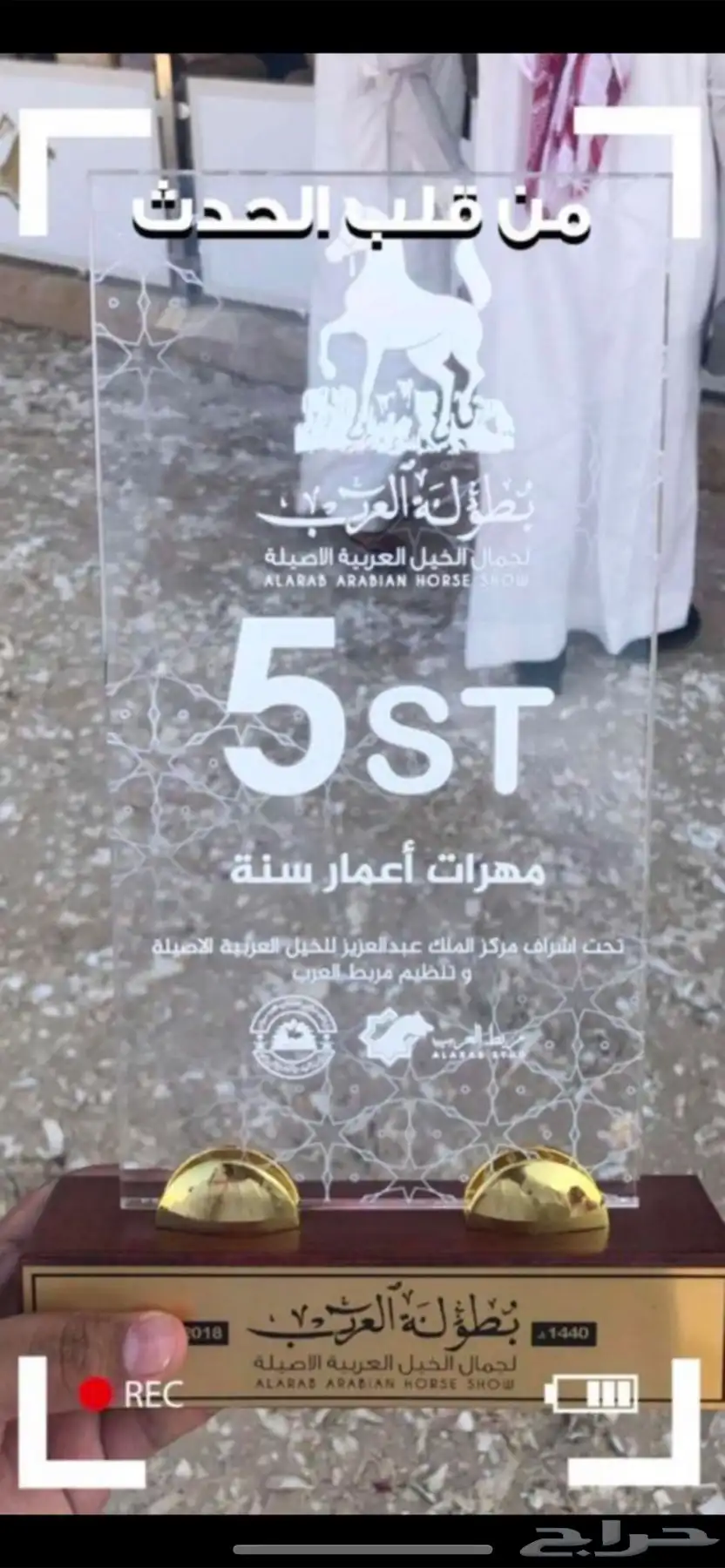 فرس واهو 4