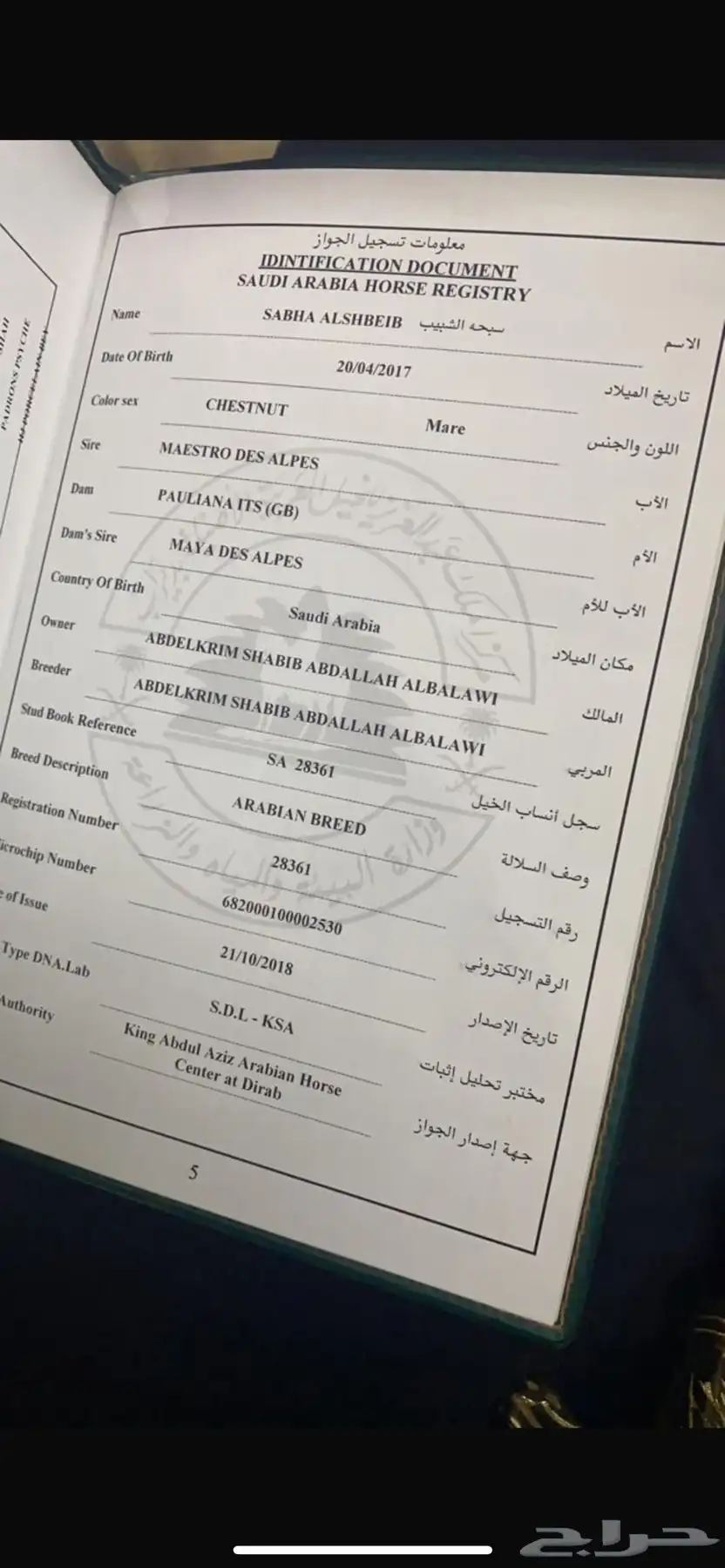 فرس واهو 5