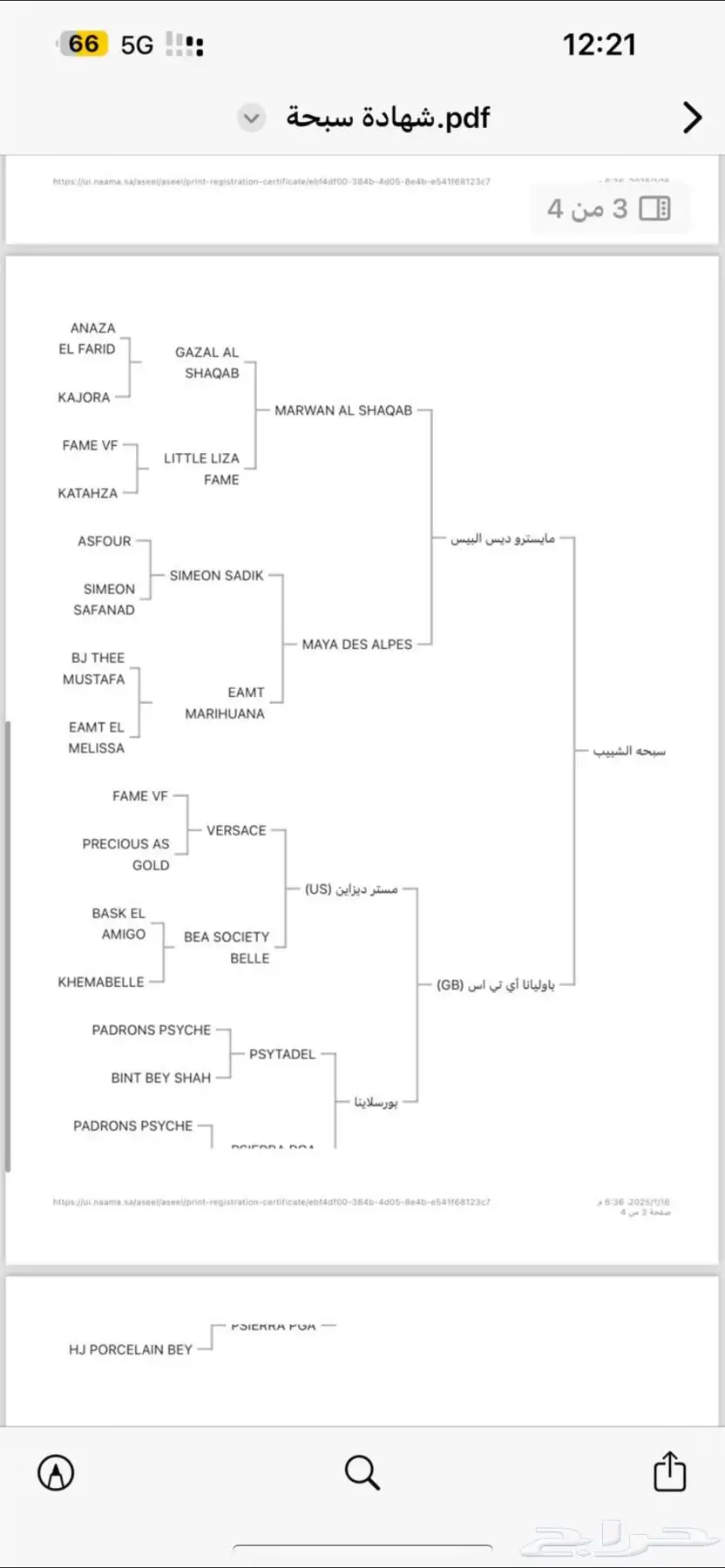 فرس واهو 6