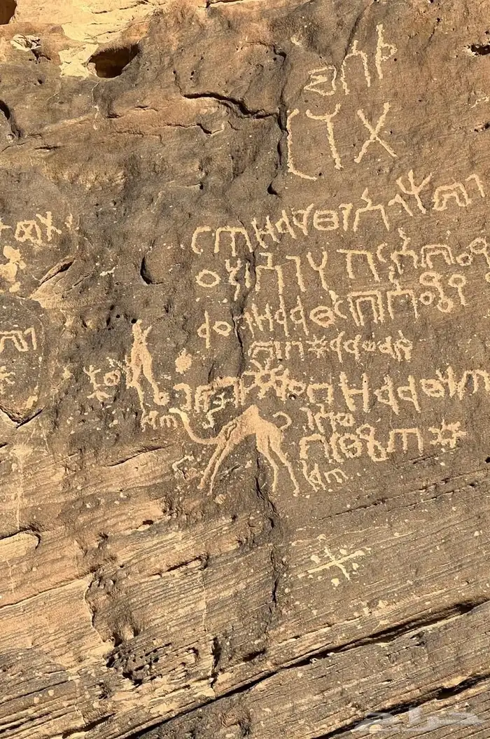 مرشد سياحي الربع الخالي نجران 24