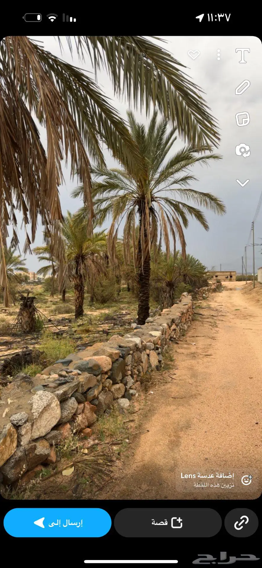 مزرعة بالطايف بجوار الميقات للايجار 1