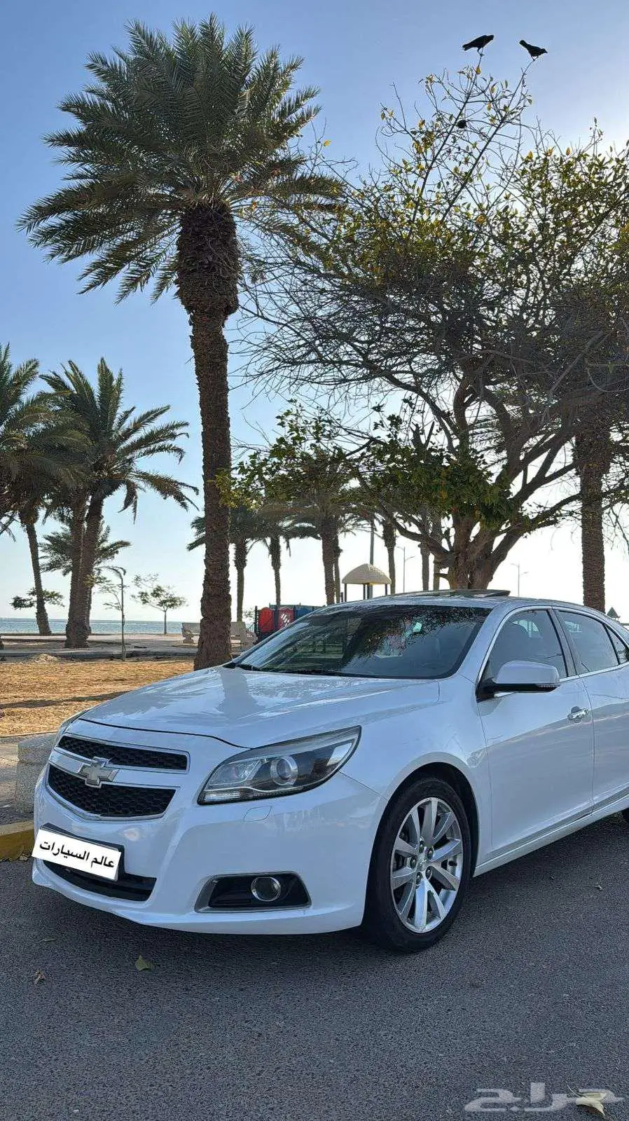 ماليبو LTZ 2016 4
